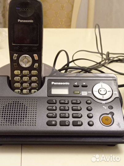 Panasonic