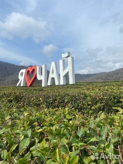 Экскурсия в Сочи 33 водопада + чайные плантации