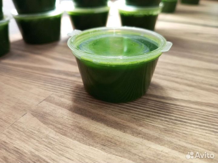 Витграсс, сок из ростков пшеницы, заморозка