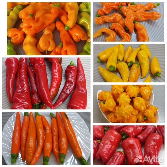 Семена томатов, сладких и острых перцев