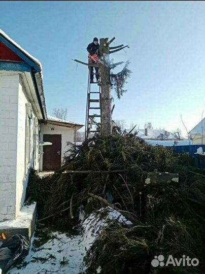 Спил деревьев,покос травы