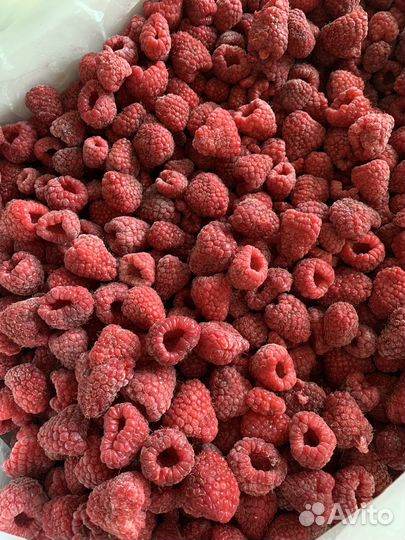 Малина целые ягоды заморозка розница и опт