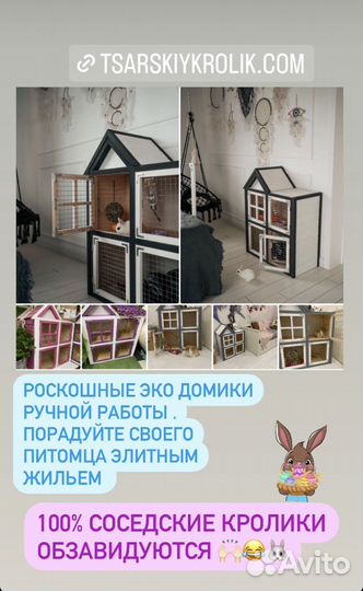 Милый кролик ручной