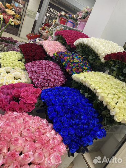 Эквадорские розы