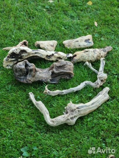 Коряги для аквариума дрифтвуд