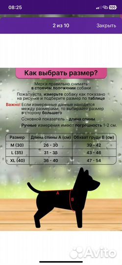 Одежда для средних собак