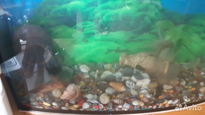 Аквариум на 120 литров