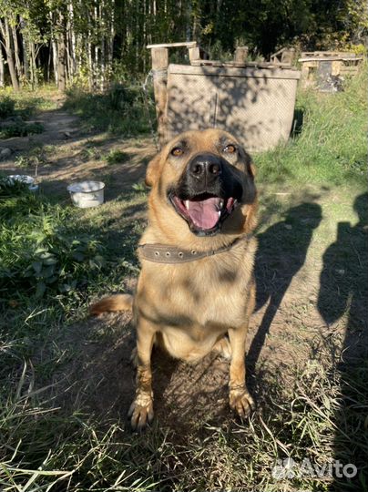 Найде ищем Дом