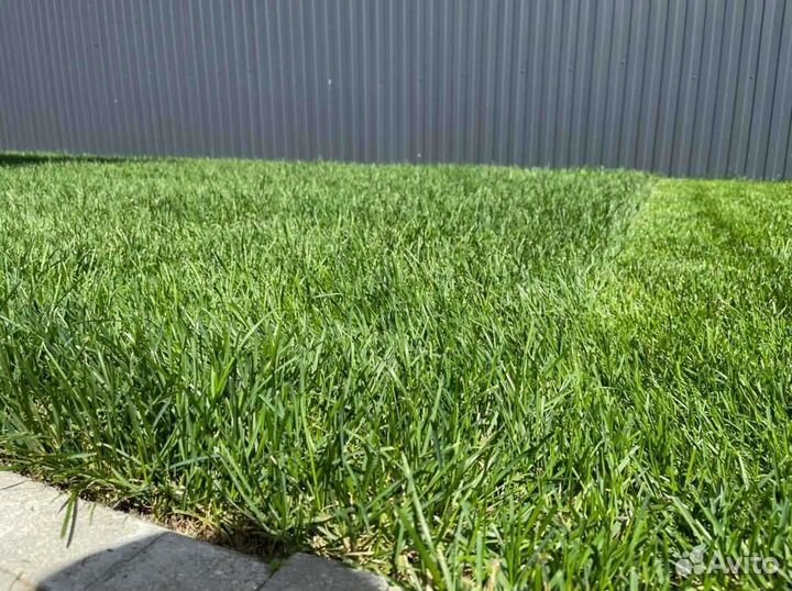 Укладка рулонного газона