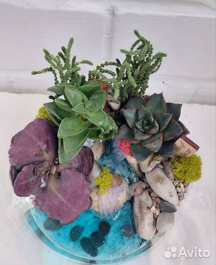 Флорариум в колбе