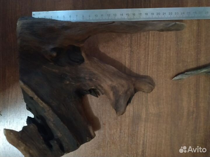 Ракушка+ коряги