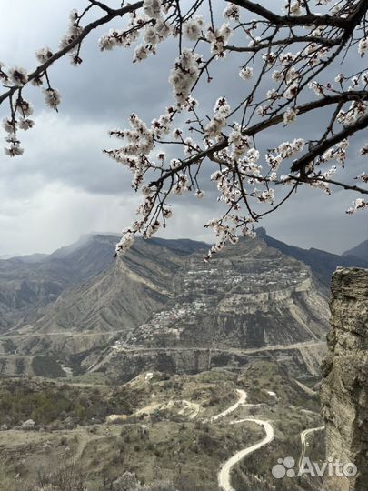 Туры В дагестан