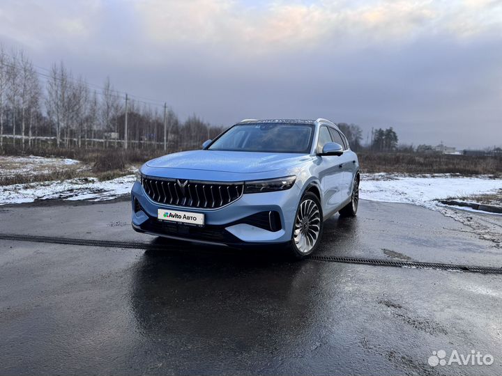 Voyah Free 1.5 AT, 2023, 58 000 км