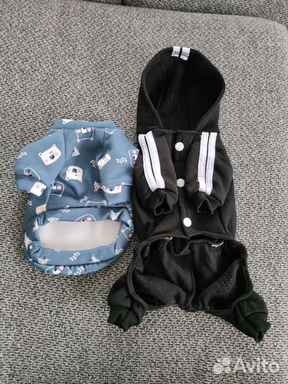 Одежда для собак мелких пород