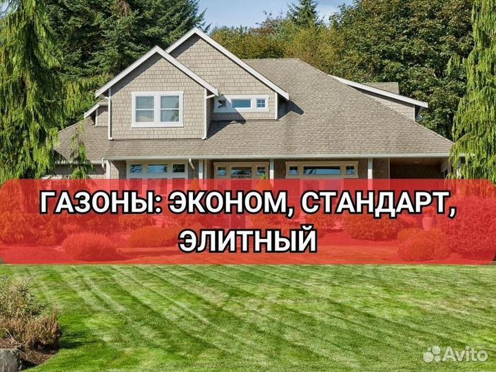 Рулонный газон элитный