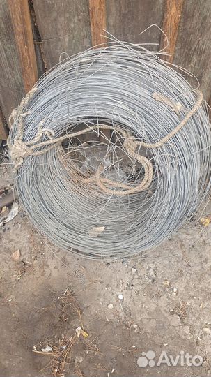 Здравствуйте продам лист пророка цена договоримся