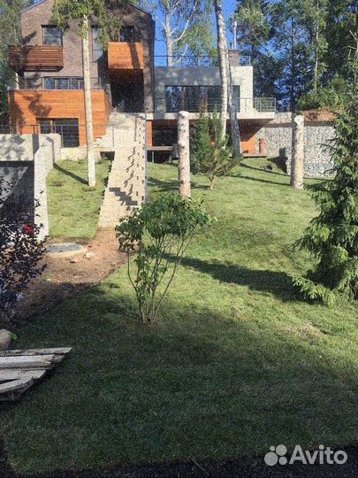 Укладка рулонного газона эконом