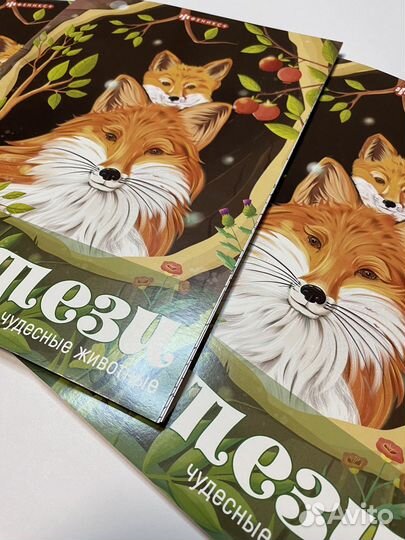 Раскраска антистресс