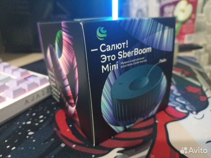 Sberboom mini