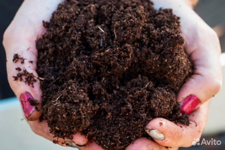 Грунт для теплиц