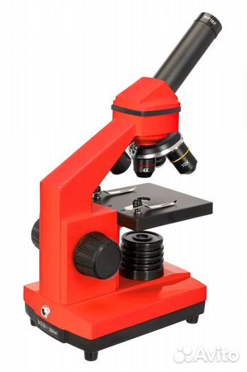 Микроскоп Levenhuk Rainbow 2L plus Апельсин