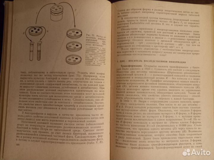 Учебник Генетика с основами селекции Лобашев 1979