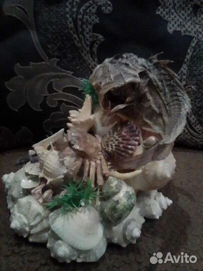 Инсталляция из ракушек для интерьера