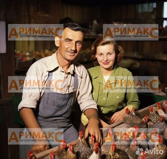 Подсобные рабочие на птицефабрику, вахта