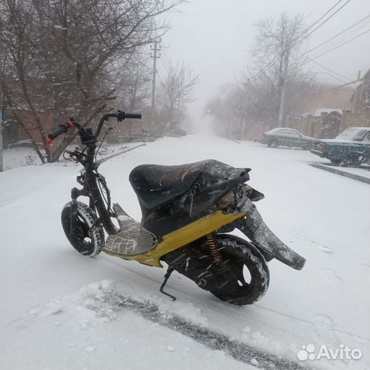 Суза сепия zz под стант