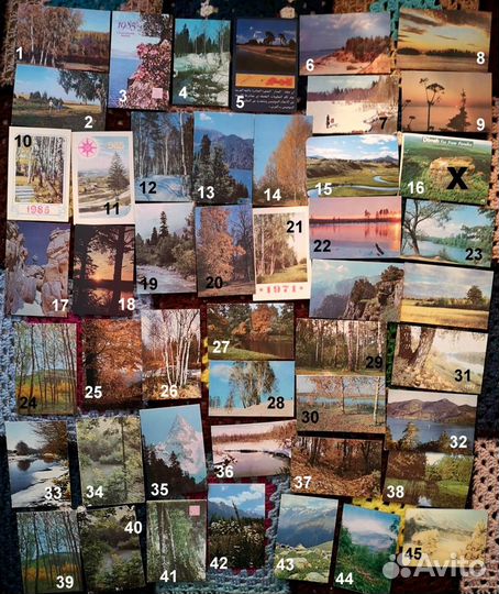 Календарики: цветы, природа, грибы