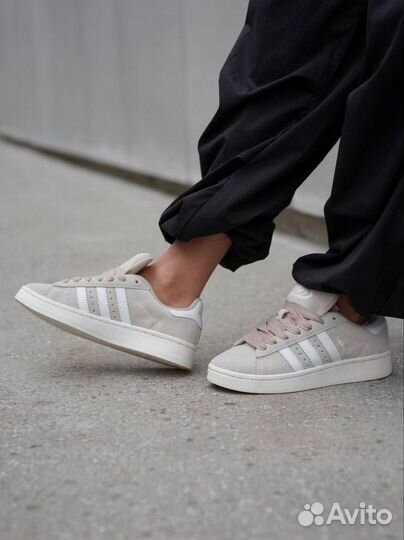 Adidas campus женские