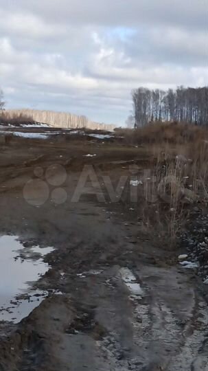 Участок 8,5 сот. (СНТ, ДНП)