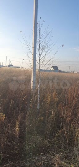 Участок 7,5 сот. (СНТ, ДНП)