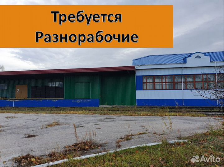 Разнорабочий