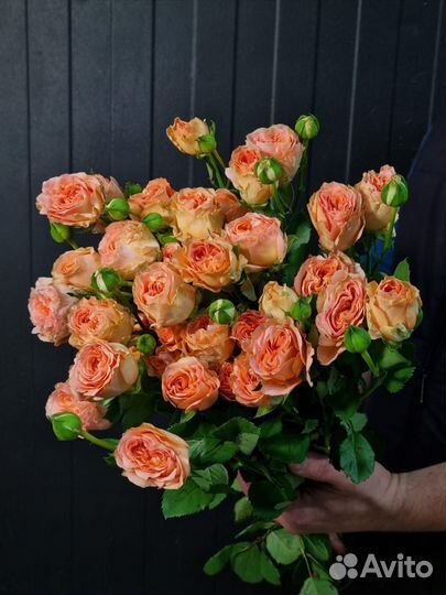 Кустовые розы оптом