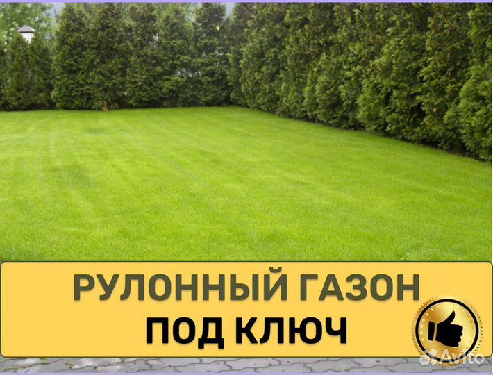 Рулонный газон под ключ Стандартный