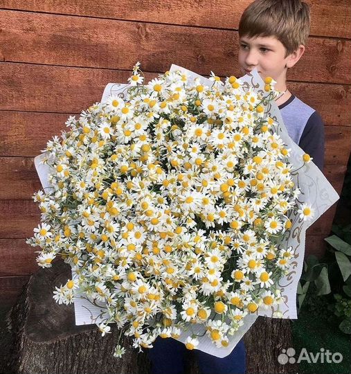 Букеты ромашек
