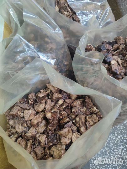 Сушильная камера для фруктов