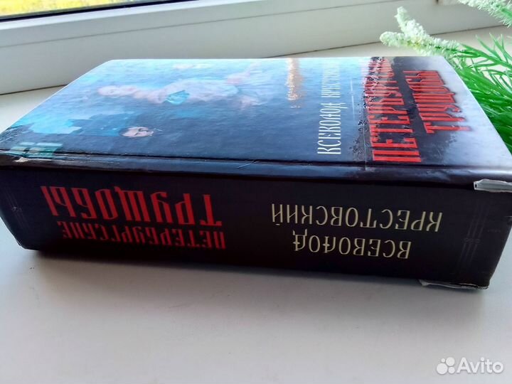 Книги петербургские трущобы