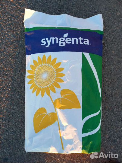 Семена подсолнечника