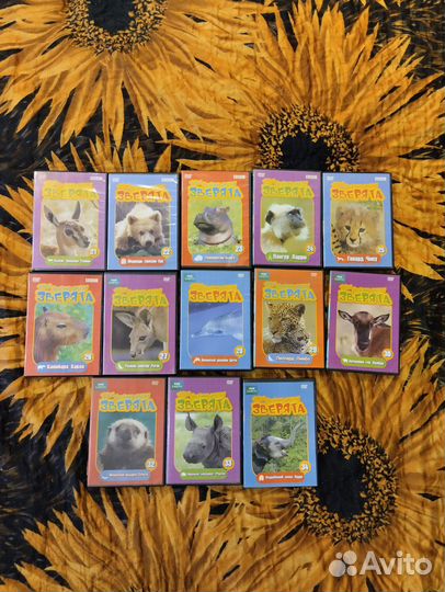 DVD диски и журналы про животных
