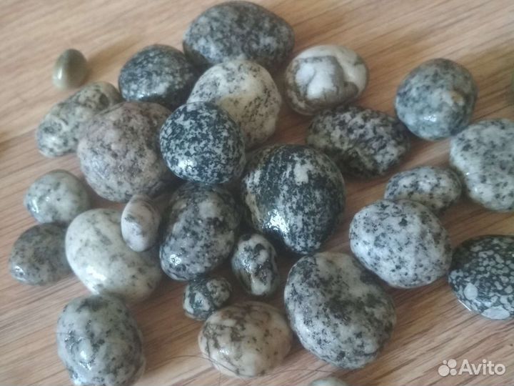 Морские камни и ракушки