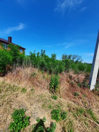 Участок 5 сот. (ИЖС)