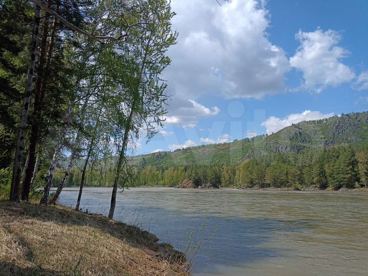 Участок 17 сот. (СНТ, ДНП)