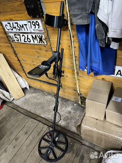 Minelab equinox 800