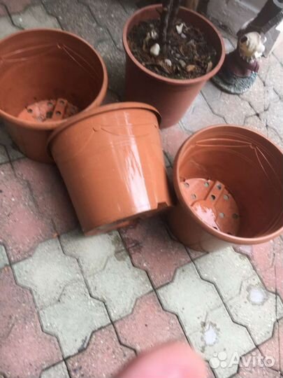 Горшки для растений большие и средние