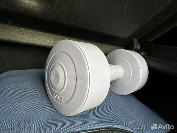 Гантель 2 кг