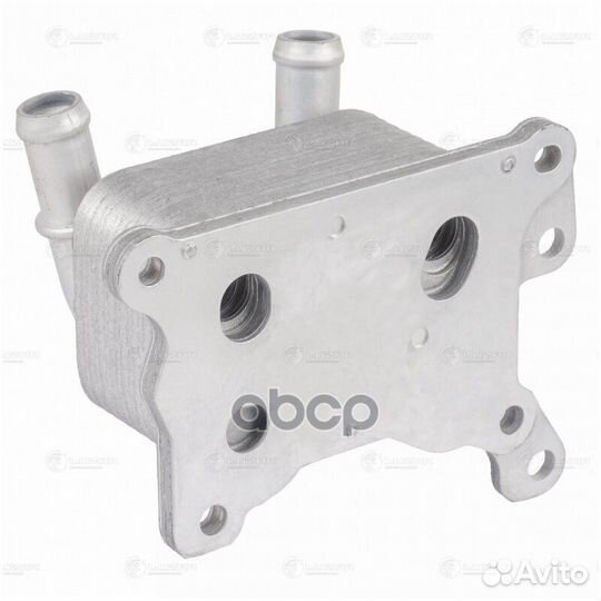 Радиатор масляный renault arkana 19- LOC0905 luzar