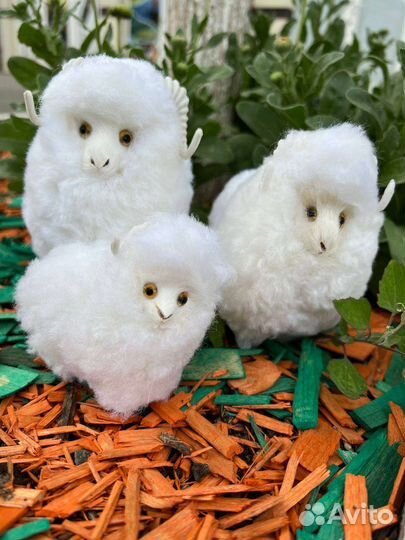 Барашки Сувениры Дагестан Статуэтки Оптовые Цены