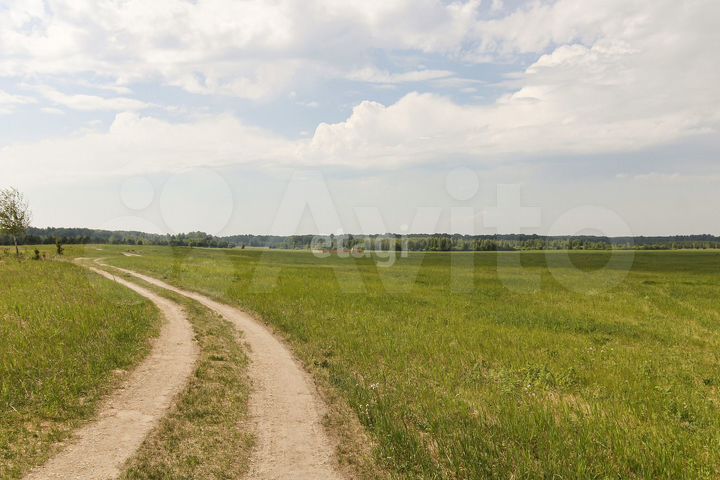 Участок 89,9 сот. (СНТ, ДНП)